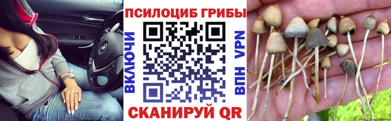 Галлюциногенные грибы MAGIC MUSHROOMS  Назарово 