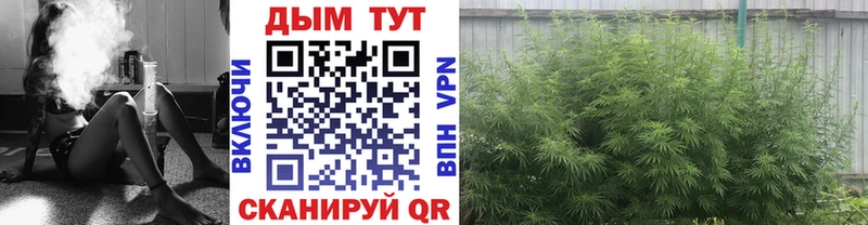 Марихуана AK-47  Назарово 